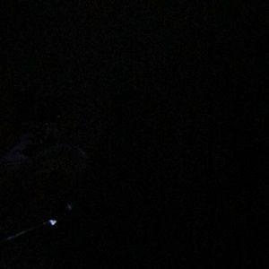 Meet your Posher, Shawnte